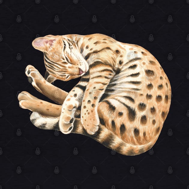 Bengal Kitten Napping Watercolor Art by Seven Sirens Studios